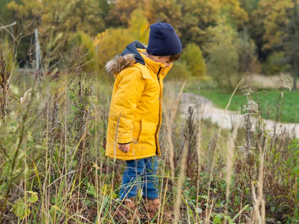 Любопытный Мальчик Поле Сушеной Травой Досуг Свежем Воздухе Детей Осенний — стоковое фото