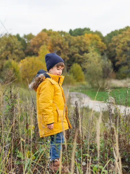 Улыбающийся Мальчик Поле Сушеной Травой Досуг Свежем Воздухе Детей Осенний — стоковое фото