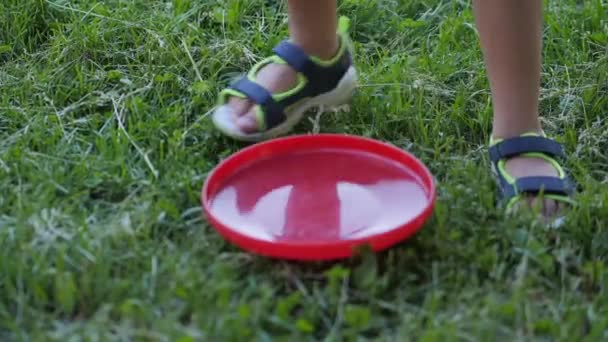 幼い子供は芝生でフリスビーをする。夏の波。屋外レジャー活動。家族の生活。裏庭でのスポーツゲーム. — ストック動画