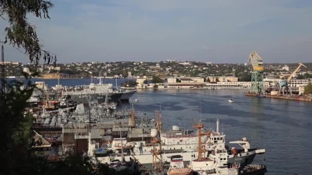 SEVASTOPOL, CRIMEA - 04 ottobre 2015. Vista aerea su Sebastopoli Marine Trade Port. Posto industriale con gru e banchine di carico. — Video Stock