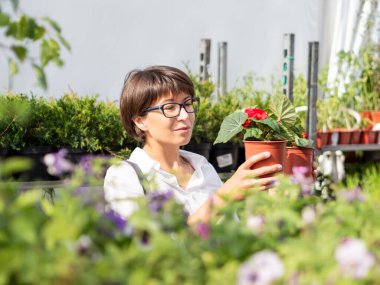 Kadın peyzaj için bitkileri seçiyor. Çiçekçide fideleri, çiçek açan bitkileri ve tohumları olan açık hava rafları. Açık hava tarım pazarı.