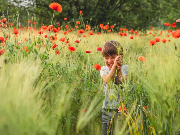 Küçük çocuk hayatında ilk kez haşhaş görüyor. Gün batımında kırmızı çiçekli çavdar tarlası. Samimi çocuk duyguları. Çocuk sıcak mevsimde doğayı keşfeder..