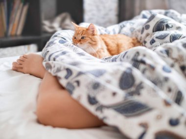 Evcil hayvanın ayaklarının yanında yatan sevimli kızıl kedi. Yumuşak tüylü hayvan desenli çarşaflarda dinleniyor. Rahat bir evde sabah..