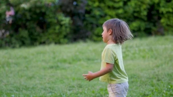 어린 아이는 잔디 위에서 프리스비 놀이를 합니다. 여름 풍경. 야외 레저 활동. 가정생활. 뒷마당에서 열리는 스포츠 경기. — 비디오