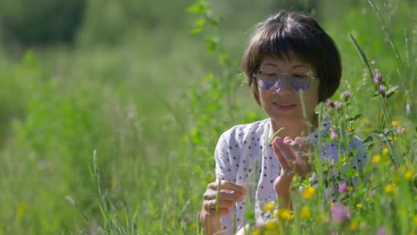 Kvinna i färgglada solglasögon njuter av solljus och blomdoft på gräsplan. Sommarvibbar. Slappna av utomhus. Självlindrande. — Stockvideo