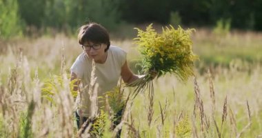 Kadın, sonbahar sahasında Solidago 'yu seçiyor. Çiçekçi iş başında. Evin iç kısımları için sarı çiçekleri dekoratif buket olarak kullanırlar..