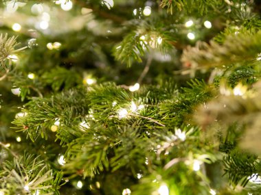 Ampullü Noel ağacı. Yeni yıl kutlaması için doğal kozalaklı ağaç. Şenlikli aydınlatma.