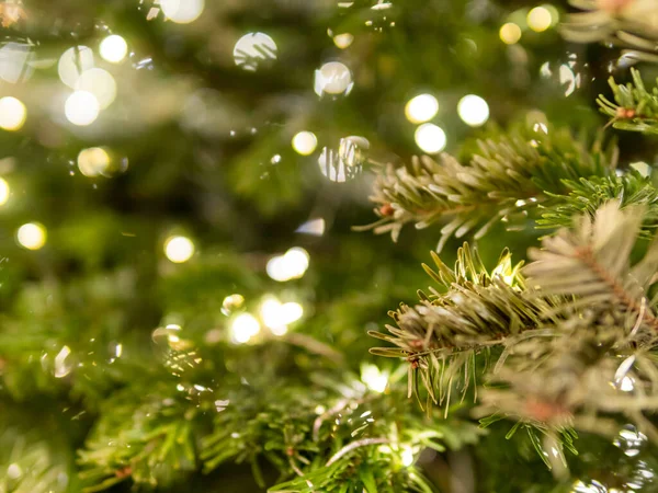 Árbol Navidad Con Bombillas Árbol Natural Coníferas Decorado Para Celebración — Foto de Stock