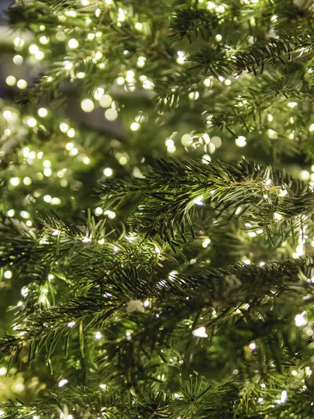 Choinka Żarówkami Naturalne Drzewo Iglaste Ozdobione Nowy Rok Oświetlenie Świąteczne — Zdjęcie stockowe