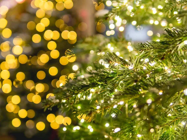 Choinka Żarówkami Naturalne Drzewo Iglaste Ozdobione Nowy Rok Oświetlenie Świąteczne — Zdjęcie stockowe