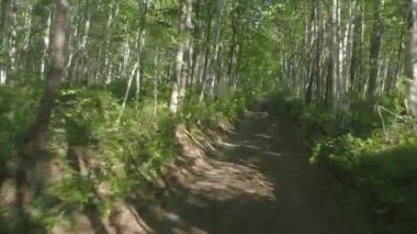 Yaz mevsiminde Rusya 'nın Kamçatka yarımadasında Birch Ormanı. Hareket halindeki arabadan yola bak.