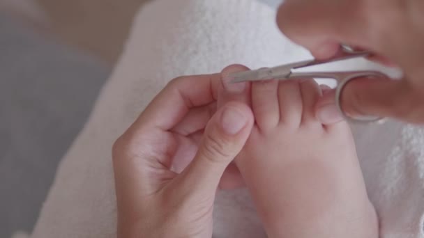 Η μητέρα κόβει καρφιά στα δάχτυλα των ποδιών της. Κοντινές φωτογραφίες παιδιών με πόδια. Διαδικασία φροντίδας του δέρματος στο σπίτι. — Αρχείο Βίντεο