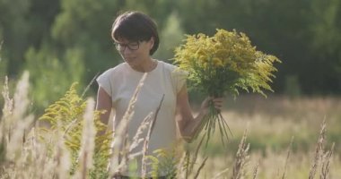 Kadın, sonbahar sahasında Solidago 'yu seçiyor. Çiçekçi iş başında. Evin iç kısımları için sarı çiçekleri dekoratif buket olarak kullanırlar..