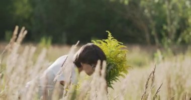 Kadın, sonbahar sahasında Solidago 'yu seçiyor. Çiçekçi iş başında. Evin iç kısımları için sarı çiçekleri dekoratif buket olarak kullanırlar..