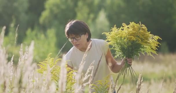 La mujer está recogiendo Solidago, comúnmente llamado cañas de oro, en el campo de otoño. Florista en el trabajo. Uso de flores amarillas como ramo decorativo para el interior del hogar. — Vídeos de Stock
