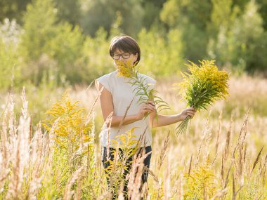 Kadın, sonbahar sahasında Solidago 'yu seçiyor. Çiçekçi iş başında. Evin iç kısımları için sarı çiçekleri dekoratif buket olarak kullanırlar..