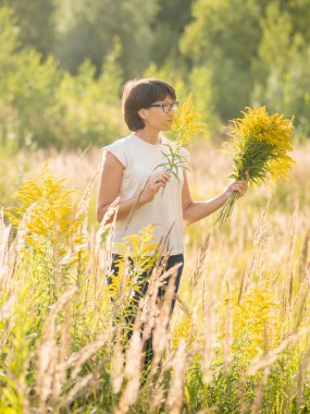 Kadın, sonbahar sahasında Solidago 'yu seçiyor. Çiçekçi iş başında. Evin iç kısımları için sarı çiçekleri dekoratif buket olarak kullanırlar..