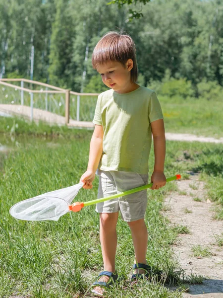 Bambino Esce Con Rete Farfalla Attività Ricreative Estive Bambini Caccia — Foto Stock