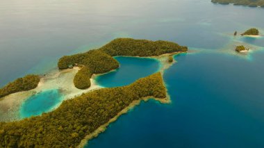 Göl kenarlı takımada. Bir yükseklikten fotoğraf