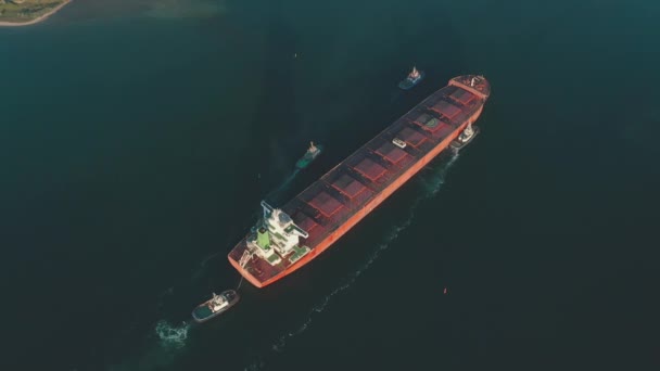 Aerial view of a large cargo ship being driven out of the harbor by four tugboats. — Stok video