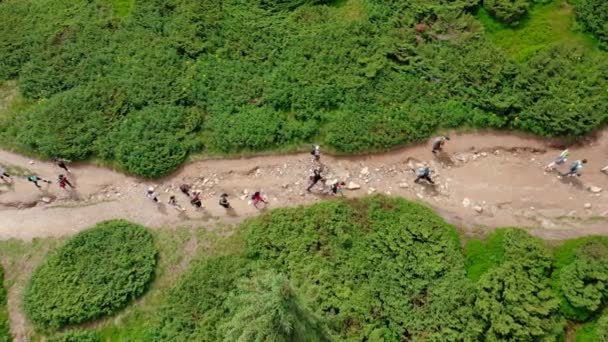 Aerial view of a group of young people walking along a mountain trail to the top of the mountain. — Video