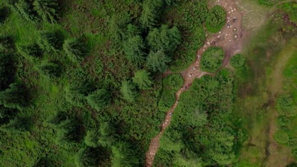 Aerial view of a group of young hikers walking along a winding rocky forest path. — стоковое видео