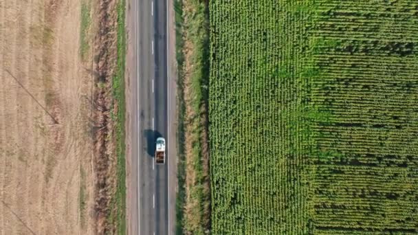 Une vue aérienne de haut en bas des voitures conduisant le long d'une route le long d'un champ de tournesol un matin d'été. — Video