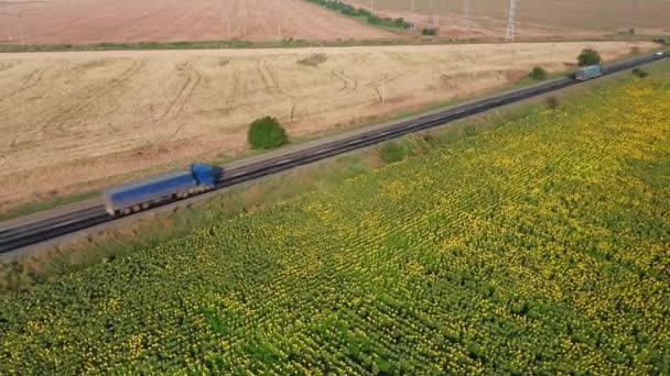 Vista aérea de caminhões dirigindo ao longo de uma estrada rural ao longo de um campo de girassol em uma manhã ensolarada. — Vídeo de Stock