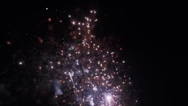 휴일 행사중어두운 밤하늘을 배경으로 화려 한 불꽃놀이가 펼쳐진다. — 비디오