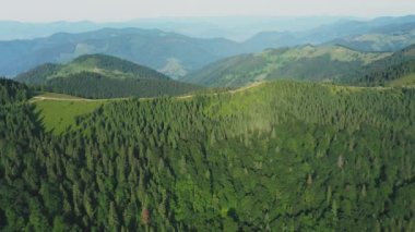Kuş bakışı dağlardaki yeşil tepelerden geçen bir kır yolu.