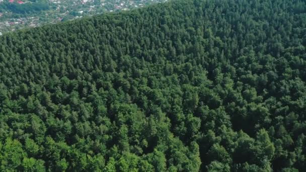 Vista aérea de drones de casas en las verdes montañas boscosas. — Vídeo de stock