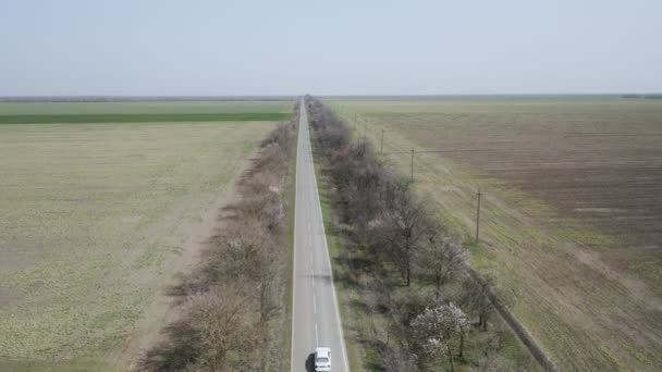 Vue aérienne d'une voiture blanche solitaire conduisant sur une autoroute rurale entourée de champs. — Video