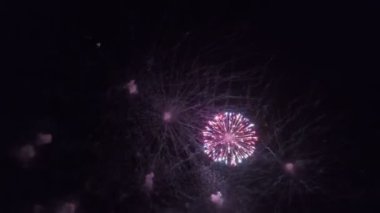 Festivalde, karanlık gökyüzüne karşı siyah kestane fişeği. Parlayan havai fişekler.