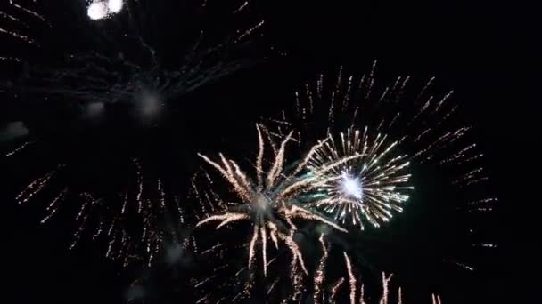 Fuegos artificiales de colores contra el oscuro cielo nocturno durante un evento festivo. Fuegos artificiales brillantes. — Vídeos de Stock