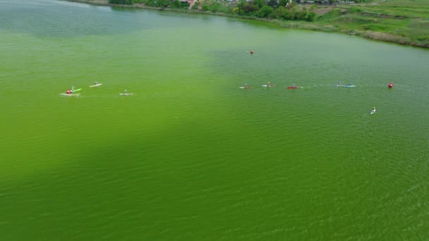 Veduta aerea di giovani atleti che si esercitano su barche a remi sul lago in una giornata estiva. — Video Stock