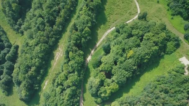 Vue aérienne d'un chemin de terre dans la forêt au milieu d'une journée ensoleillée d'été. — Video