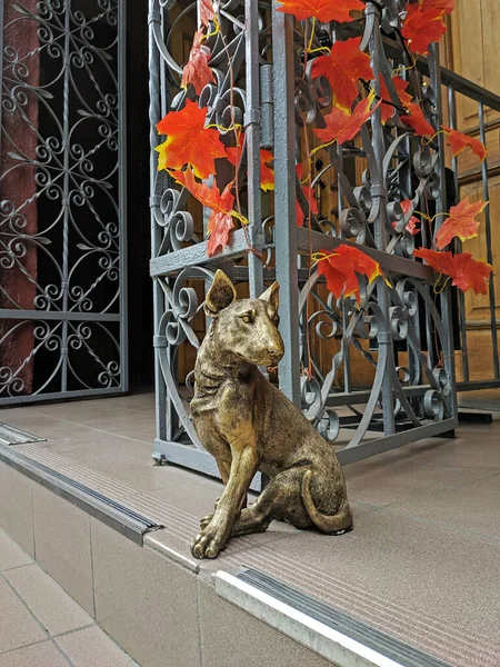 Estatua Bronce Terrier Toro Sentado Una Puerta Decorativa Metal Decorado — Foto de Stock