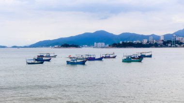 Vietnam 'daki Nha Trang Körfezi' nde uzun bir çalışma gününden sonra geleneksel Vietnam balıkçı tekneleri park edip suda yüzüyorlar.