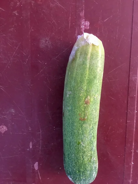 Yakın planda ziyan olmuş terli küflü yiyecekler. Çürümüş sebzeler, salatalık