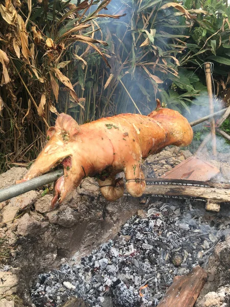 roast suckling pig in the garden