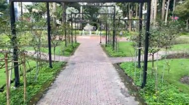 Tao Dan parkındaki gül bahçesindeki yürüyüş sahnesi, Ho Chi Minh City