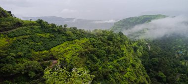 Hindistan 'da Yeşil Tepe Manzarası