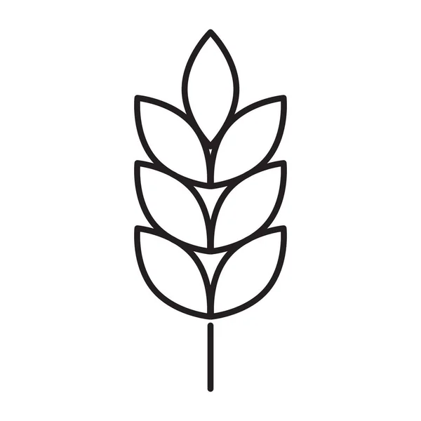 Vecteur Icônes Oreilles Blé Agricole Pour Conception Graphique Logo Site — Image vectorielle