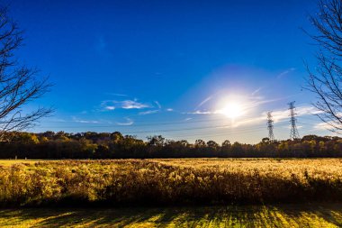 Edwin Warner Park Sonbaharda