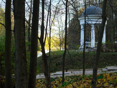 Sonbahar, parkta altın gibidir..