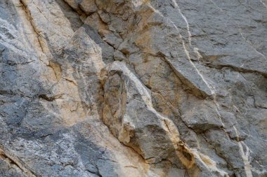 Arkaplan için taş yüzeyin yakın plan fotoğrafı