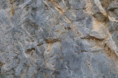 Arkaplan için taş yüzeyin yakın plan fotoğrafı