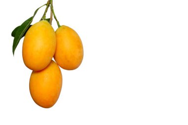 Maprang 'ın izole edilmiş görüntüsü, beyaz bir arkaplanda yakın plan..