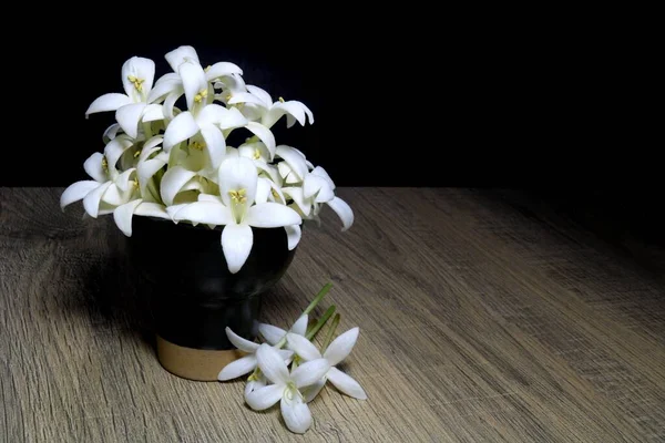 Close-up of white flowers arranged on a wooden floor