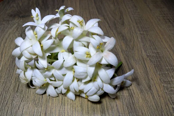 Close-up of white flowers arranged on a wooden floor
